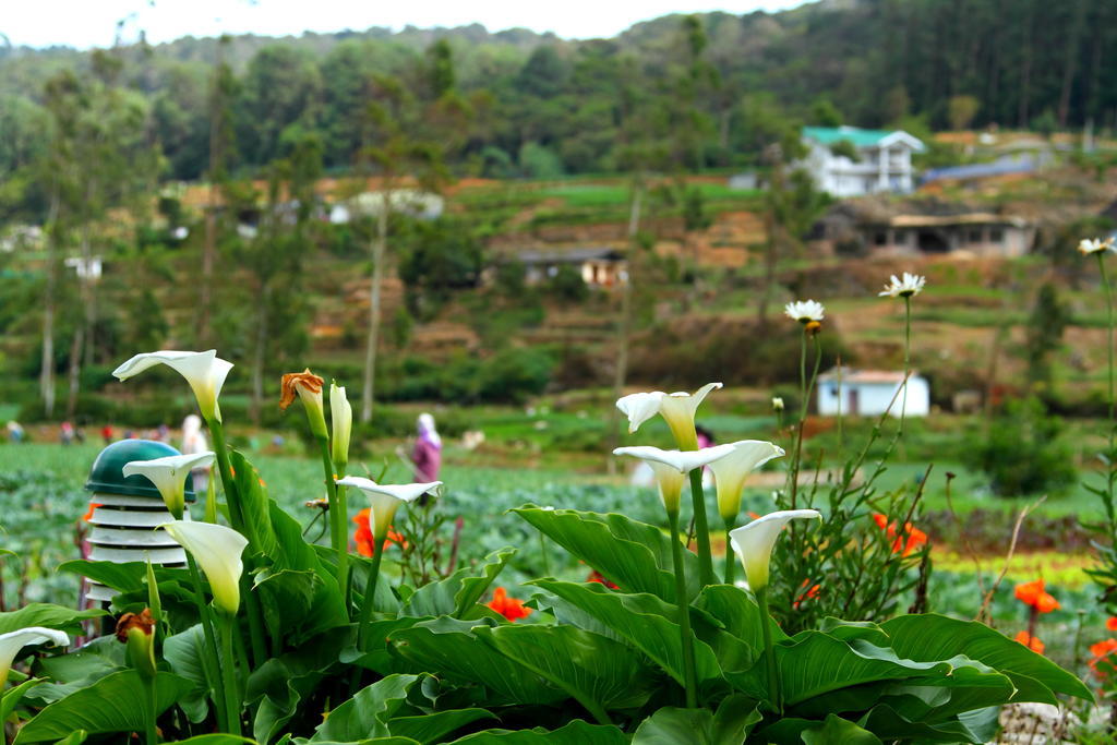 Hotel Ashford Nuwara Eliya Esterno foto